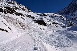 Fotografie základové laviny. V levé části je vidět strakatě hnědý povrch obnažený lavinou, ve středu fotografie prochází lavina přes udržovanou cestu, v pravém dolním rohu je mohutná akumulace laviny.