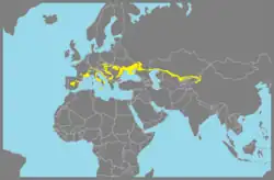 Rozšíření kobylky ságy (žluté značení)