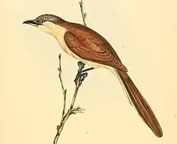 alternativní popis obrázku chybí