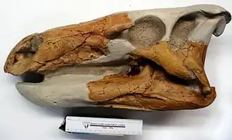 alternativní popis obrázku chybí