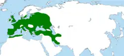 Areál rozšíření