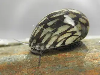 alternativní popis obrázku chybí