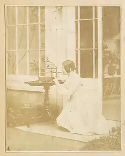 Thereza Dillwyn Llewelynová