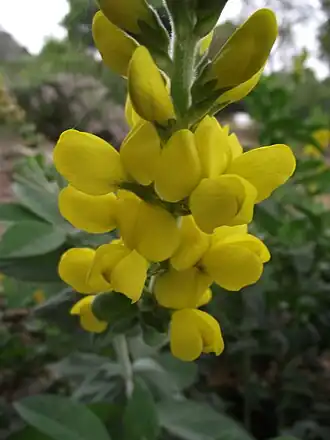 alternativní popis obrázku chybí