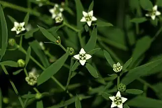 alternativní popis obrázku chybí