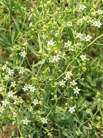 alternativní popis obrázku chybí