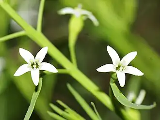 alternativní popis obrázku chybí