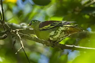 alternativní popis obrázku chybí