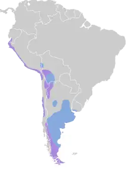 Areál rozšíření