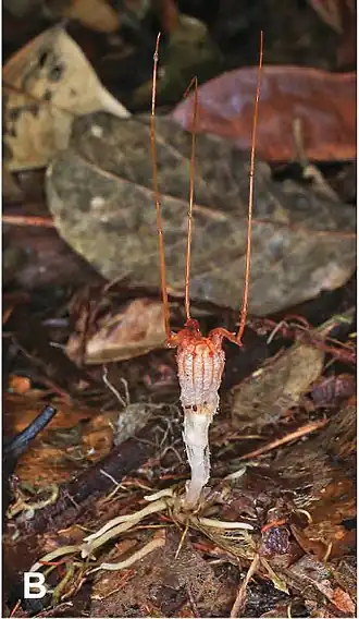 alternativní popis obrázku chybí