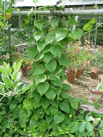 alternativní popis obrázku chybí