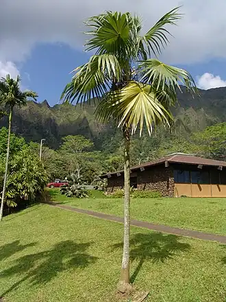 alternativní popis obrázku chybí