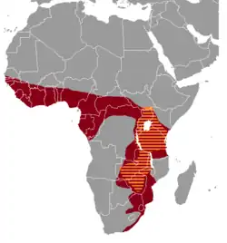 Areál rozšíření