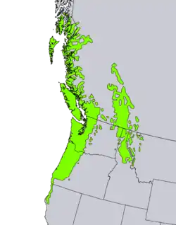 rozšíření zeravu obrovského americkém severozápadě