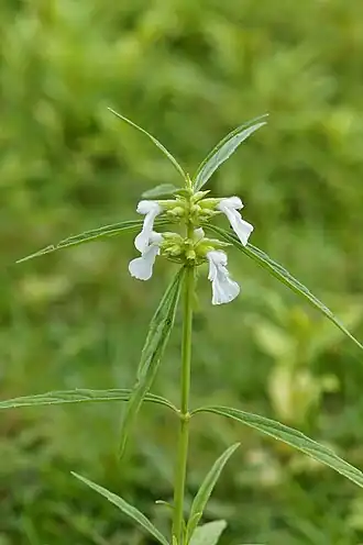 alternativní popis obrázku chybí