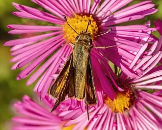 alternativní popis obrázku chybí