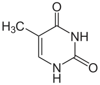 Strukturní vzorec thyminu