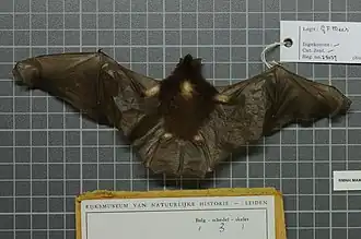 alternativní popis obrázku chybí