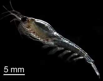 alternativní popis obrázku chybí