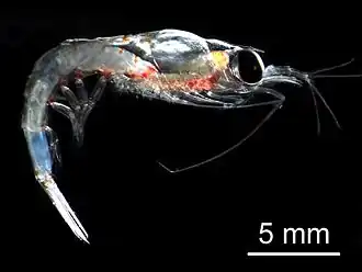 alternativní popis obrázku chybí