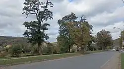 Lipové stromořadí v Tišnově