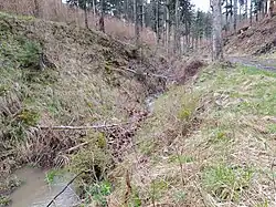 Tichý potok ve vojenském újezdu Libavá