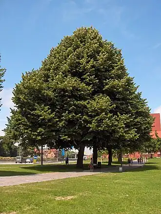 alternativní popis obrázku chybí