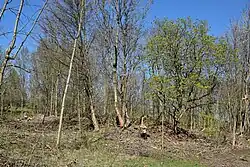 Místo bývalé vesnice se zříceninou domu