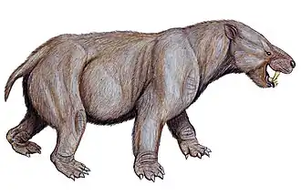 alternativní popis obrázku chybí