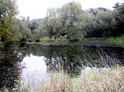 Pohled na jednu z komořanských tůní