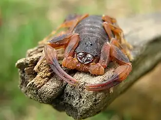 alternativní popis obrázku chybí