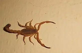 alternativní popis obrázku chybí