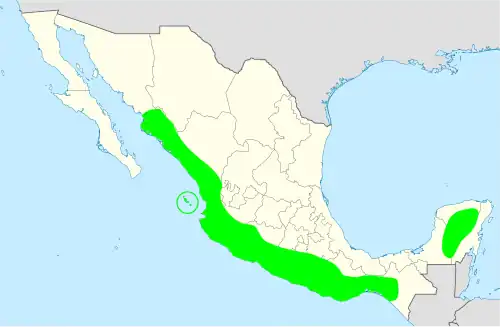 Rozšíření vačice zapotécké podle starého pohledu