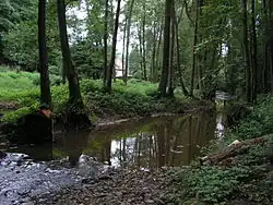 Tloskovský potok nedaleko ústí