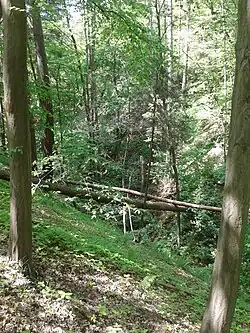 Točenská rokle, pohled ze stezky turistické trasy 3129