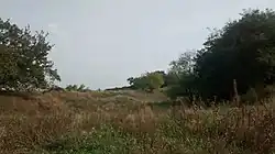 Tomášikovský presyp