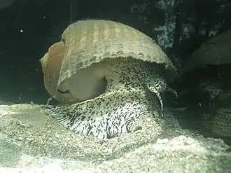 alternativní popis obrázku chybí