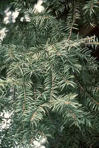 alternativní popis obrázku chybí