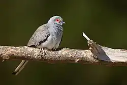 alternativní popis obrázku chybí