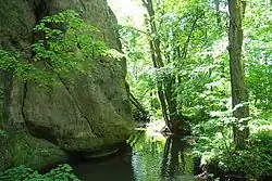 Svitavka u Kunratic u Cvikova pod Skálou smrti