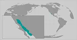 Areál rozšíření