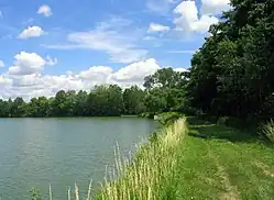 Touškovský rybník, pohled na hráz