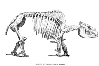 alternativní popis obrázku chybí