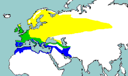 Rozšíření drozda zpěvného (žlutě – hnízdiště, zeleně – celoroční výskyt, modře – zimoviště)