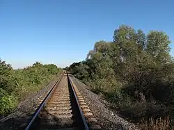 Trať východně od Netřeby