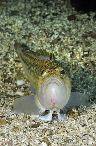 alternativní popis obrázku chybí