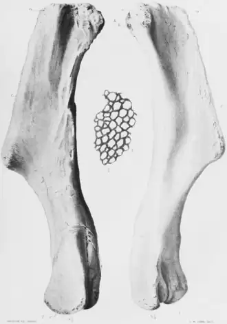 alternativní popis obrázku chybí