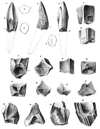 alternativní popis obrázku chybí