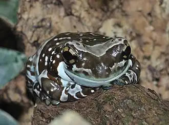 alternativní popis obrázku chybí