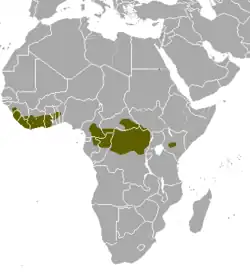 Areál rozšíření